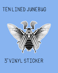 Ten-Lined June Bug - 3" Vinyl Sticker